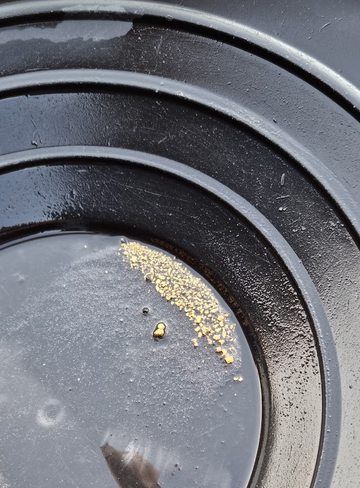 850g Paydirt mit min. 1.0 gramm Gold vom Chicken Creek Alaska