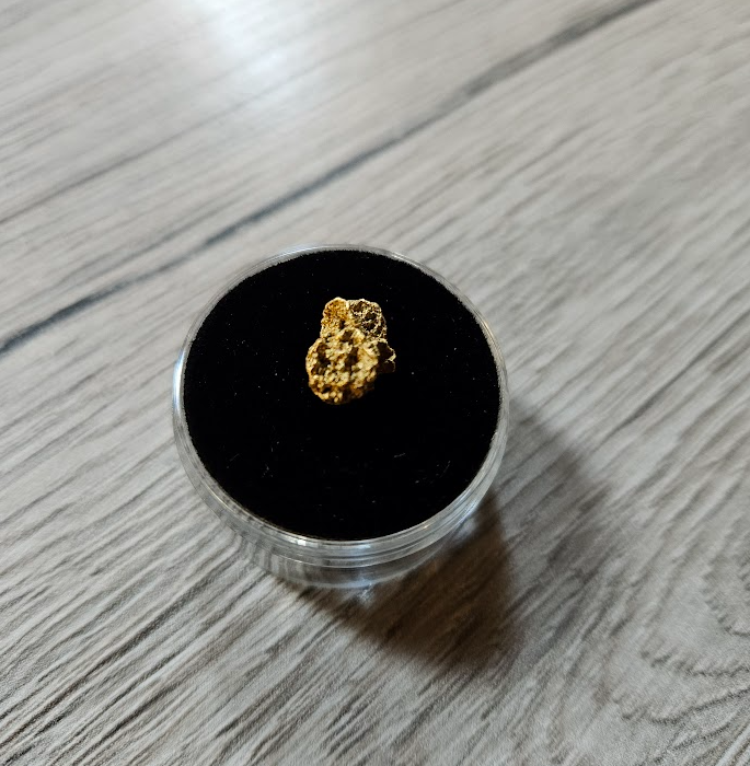 Goldnugget aus Alaska 1.368 gramm