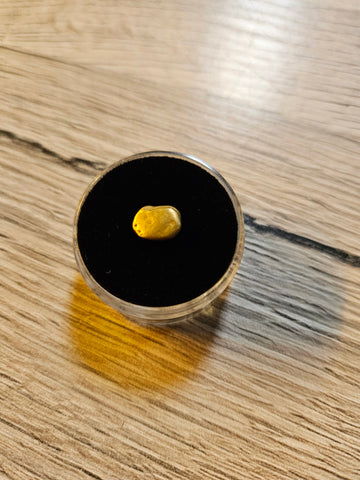 0.895g Nugget aus Neuseeland